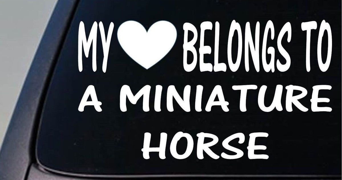 My Heart Belongs to a Miniature Horse Vinyl Decal