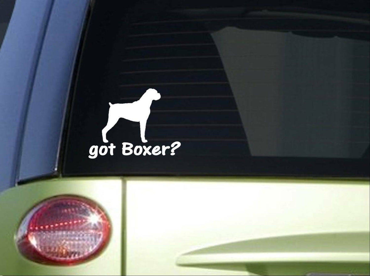 Got Boxer 6X Vinyl Decal – 6 Inch