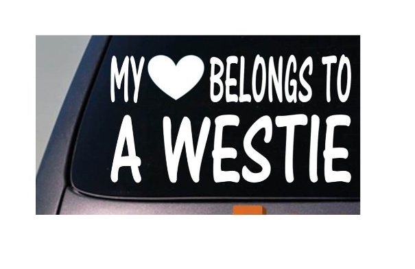 My Heart Belongs to a Westie Vinyl Decal