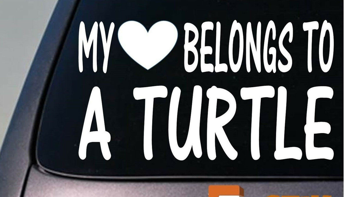 My Heart Belongs to a Turtle Vinyl Decal