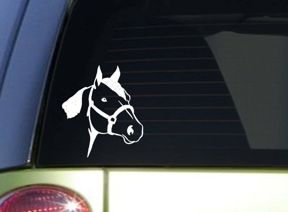 Quarter Horse Vinyl Decal – 6 Inch