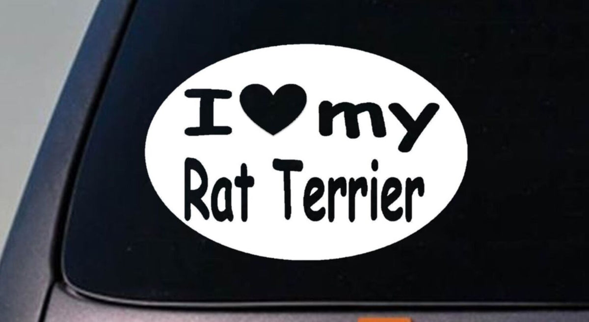 I Love My Rat Terrier Decker Vinyl Decal