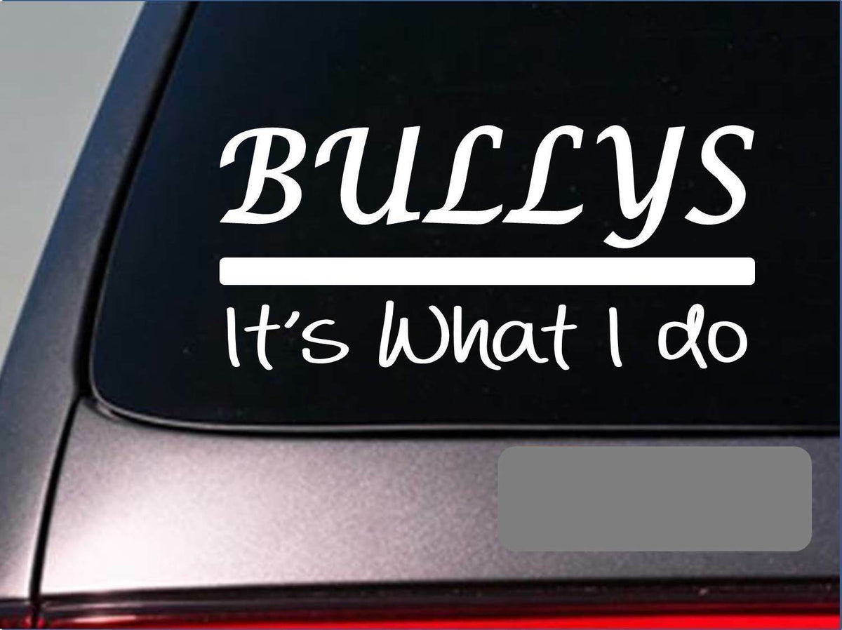 Bullys Vinyl Decal