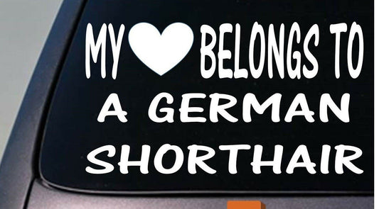 My Heart Belongs to a German Shorthair Pointer Vinyl Decal