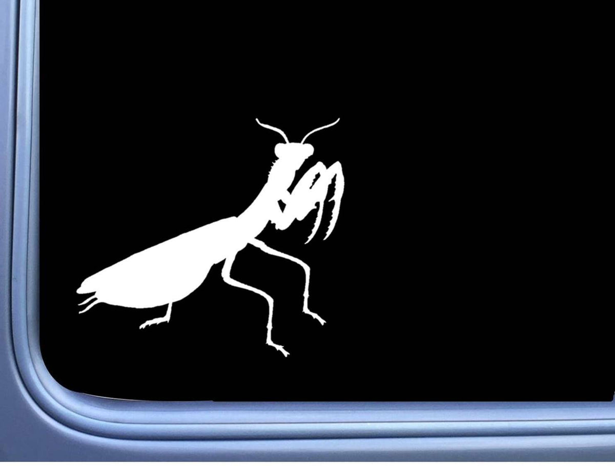 Praying Mantis Vinyl Decal – 6 Inch