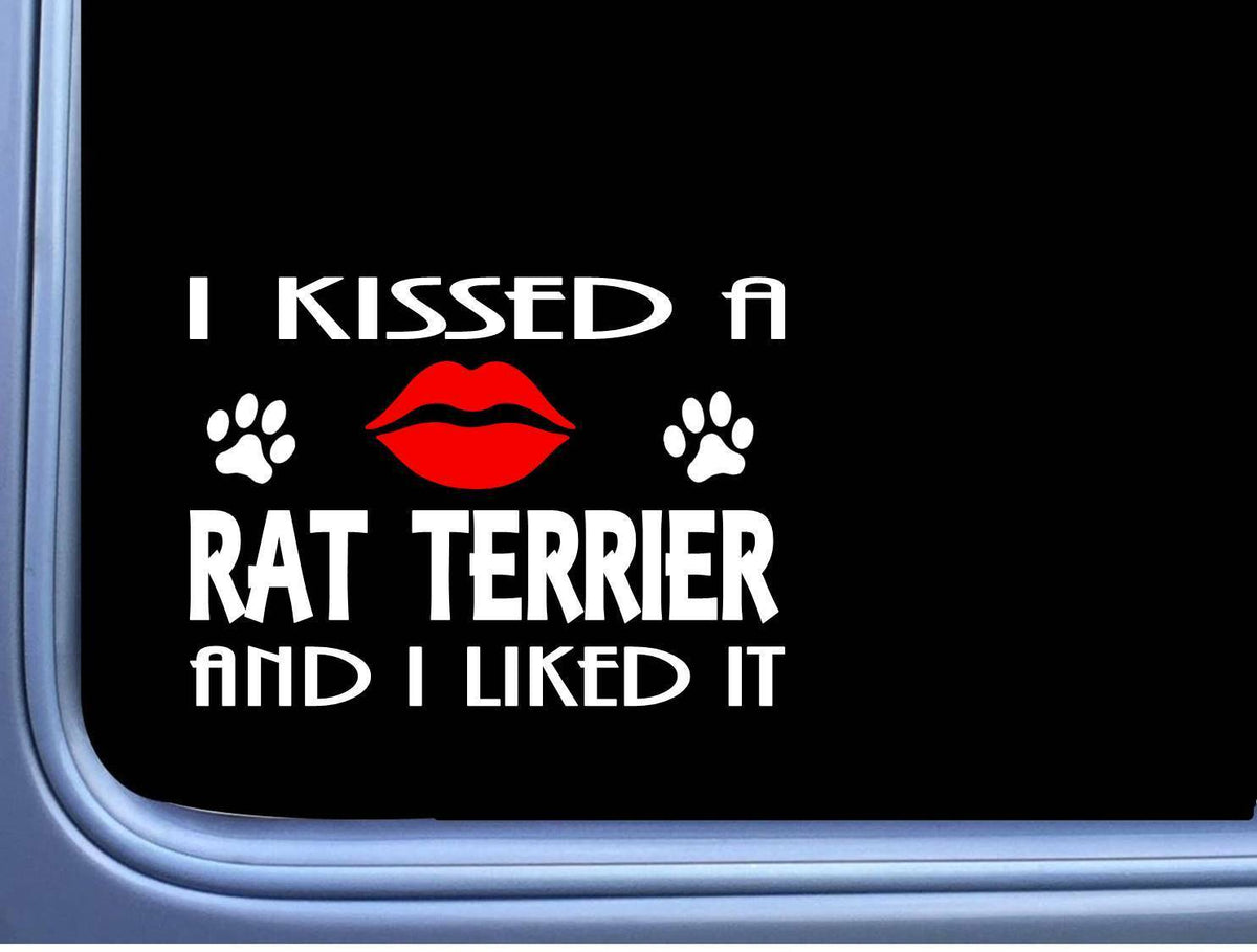 Rat Terrier Kissed Dog Vinyl Decal – 8 Inch