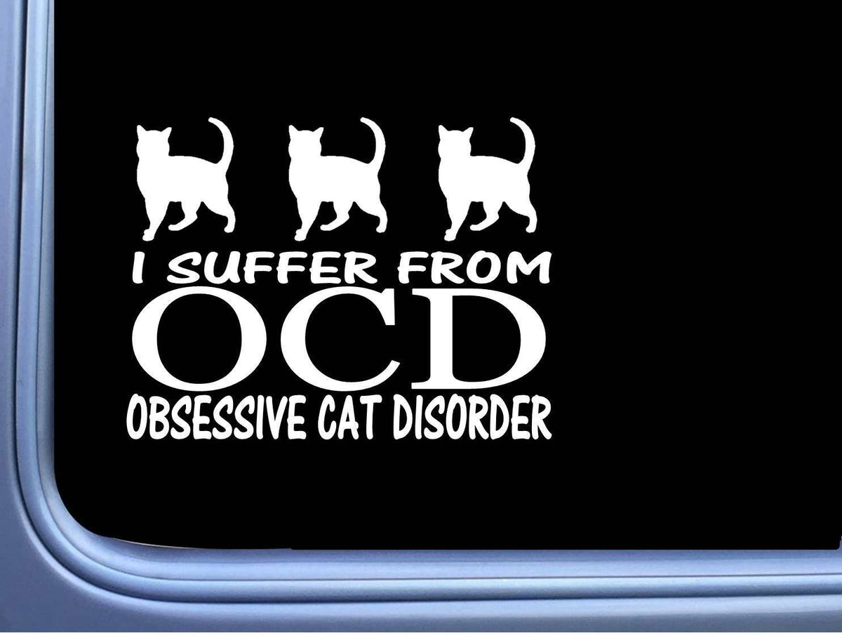 Ocd Cat Disorder Vinyl Decal – 6 Inch