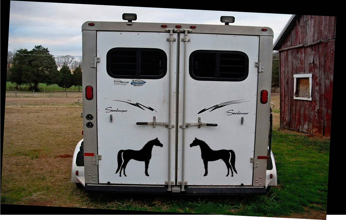 2 Large Arabian Horse Vinyl Decal – 12.5 Inch
