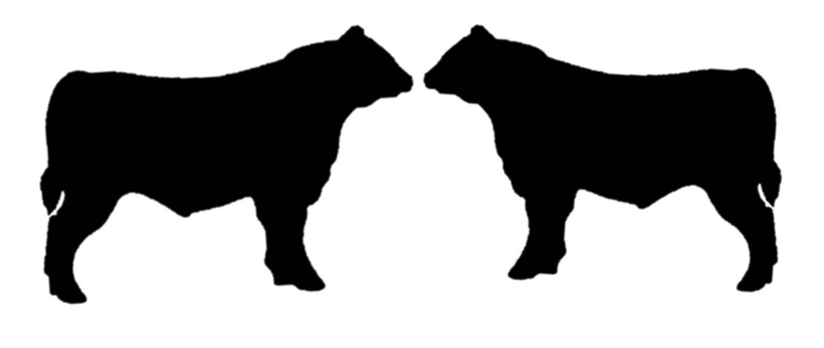 Bull Vinyl Decal – 18 Inch