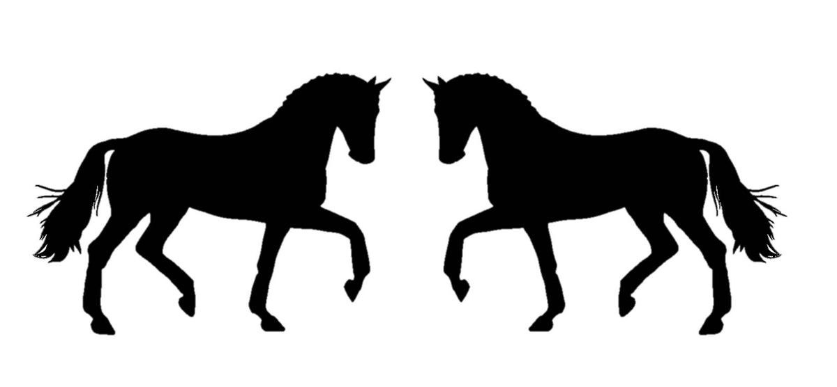 Dressage Horse Vinyl Decal – 12 Inch