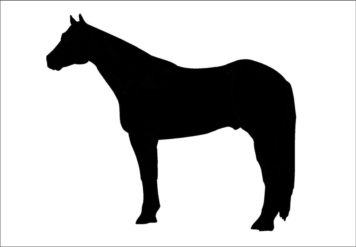 2 Large Quarter Horse Vinyl Decal – 12.5 Inch