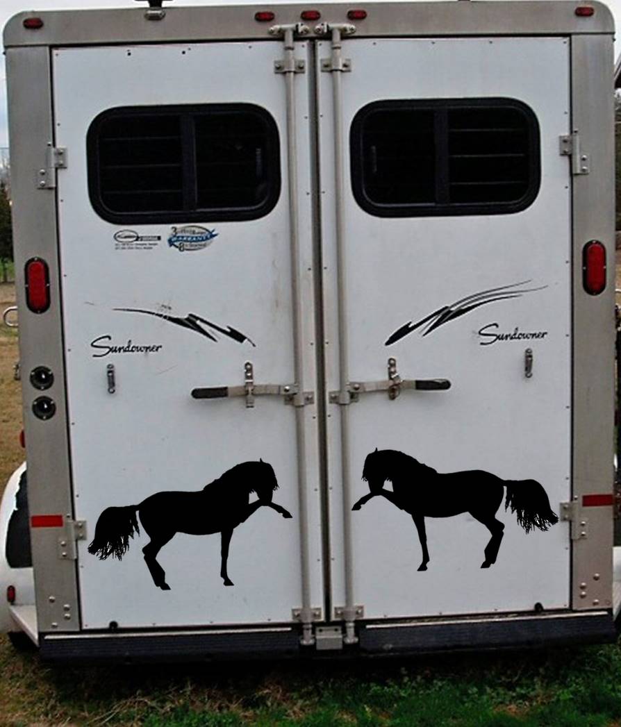 Andalusian Horse Vinyl Decal – 12 Inch