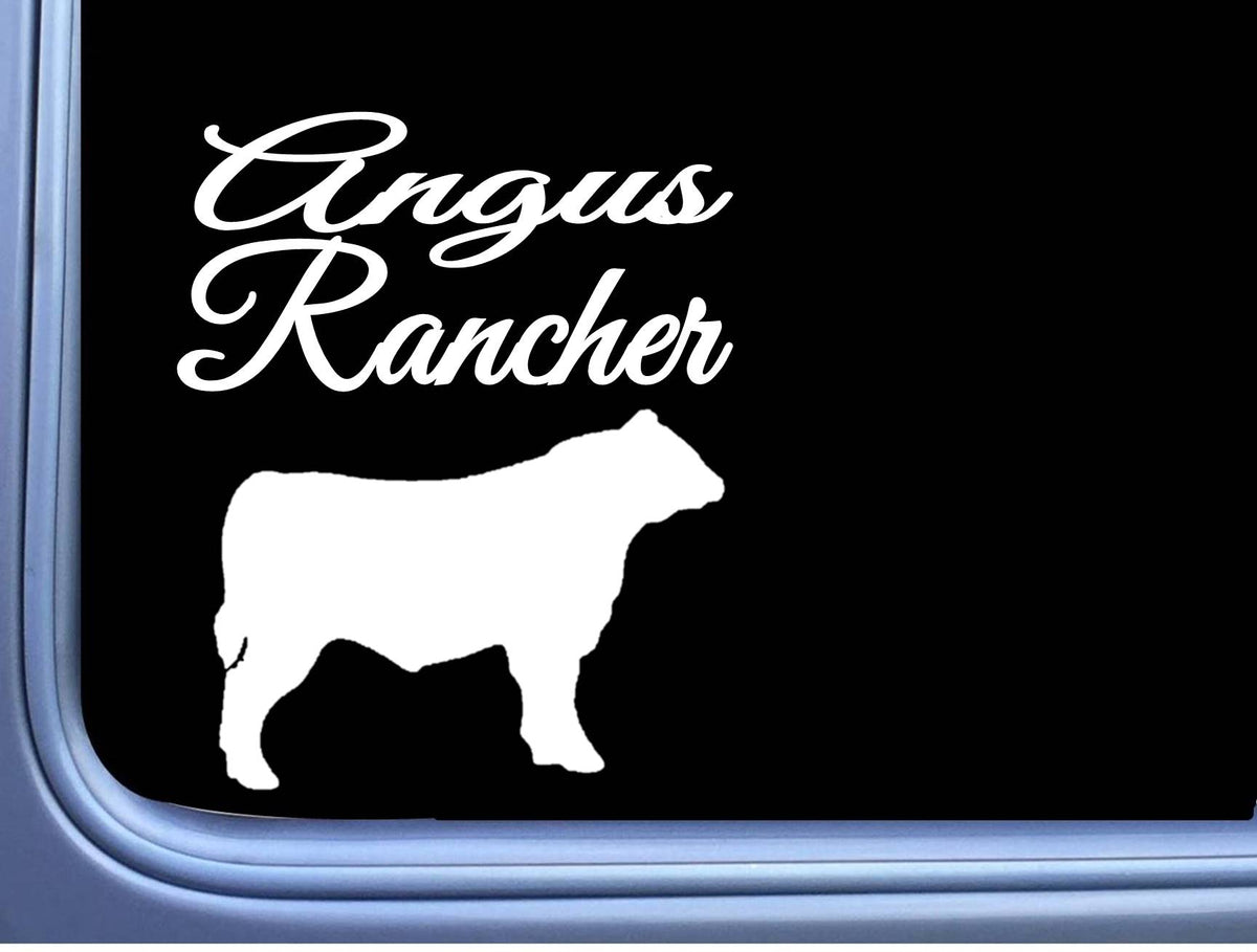 Angus Rancher Bull Vinyl Decal – 6 Inch