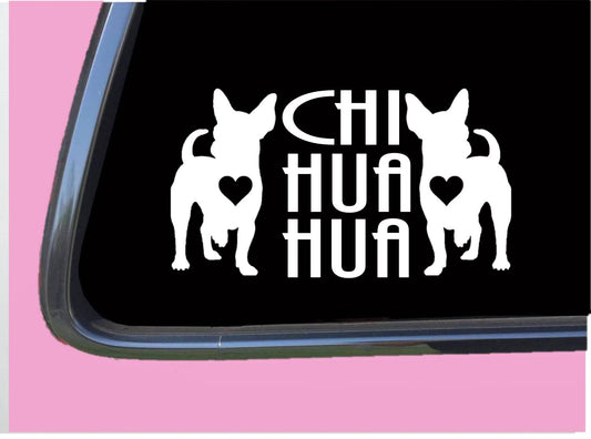 Chihuahua Chi Hua Hua Vinyl Decal – 8 Inch
