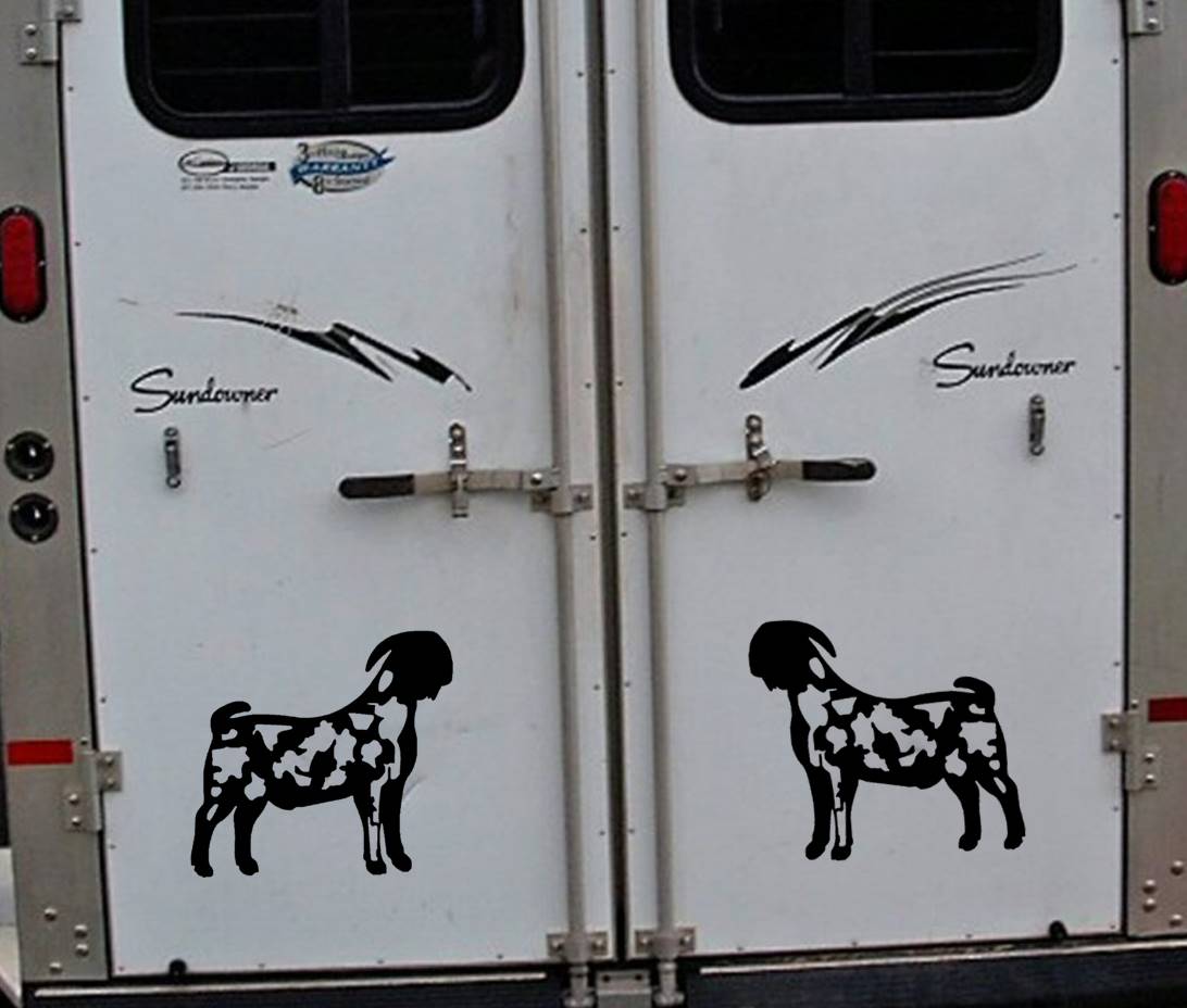 Dapple Boer Goat Vinyl Decal – 12 Inch