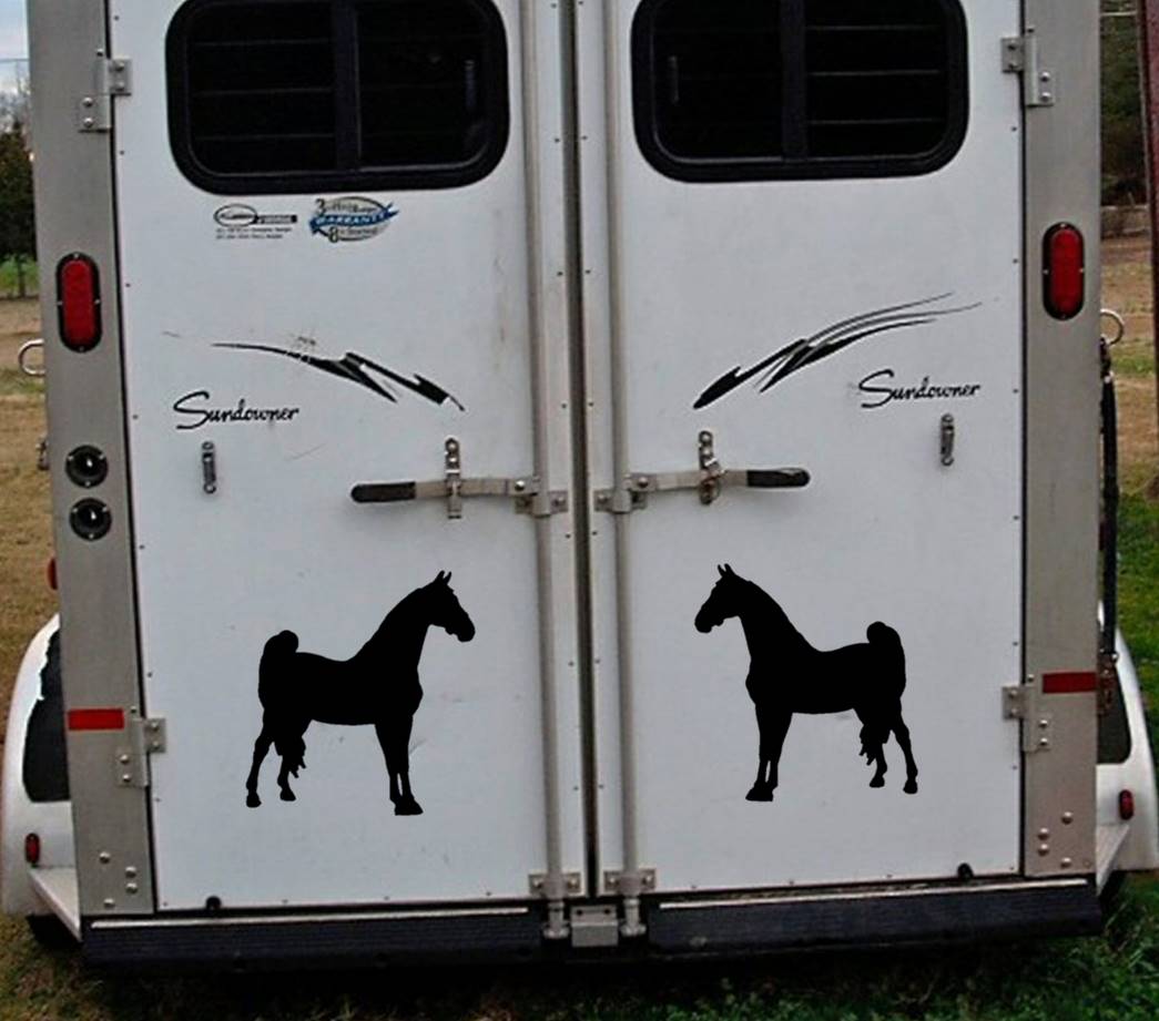Morgan Horse Vinyl Decal