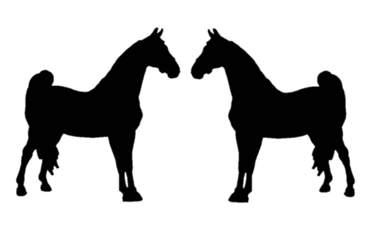 Morgan Horse Vinyl Decal
