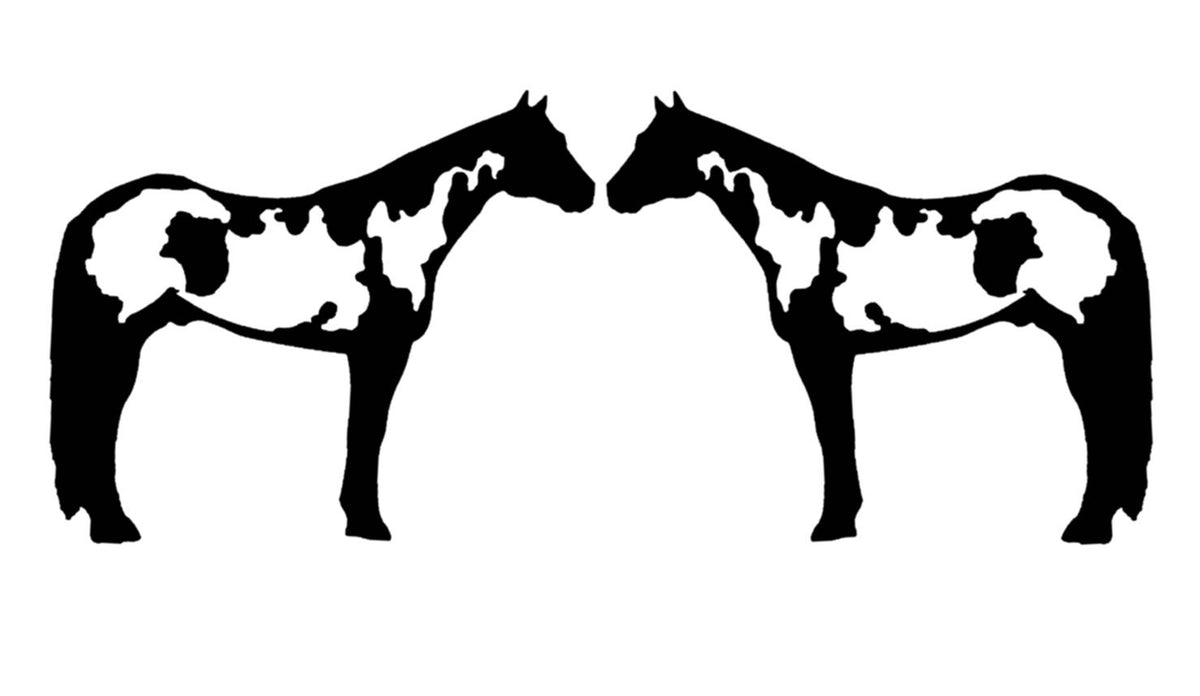 Paint Horse Vinyl Decal – 12 Inch