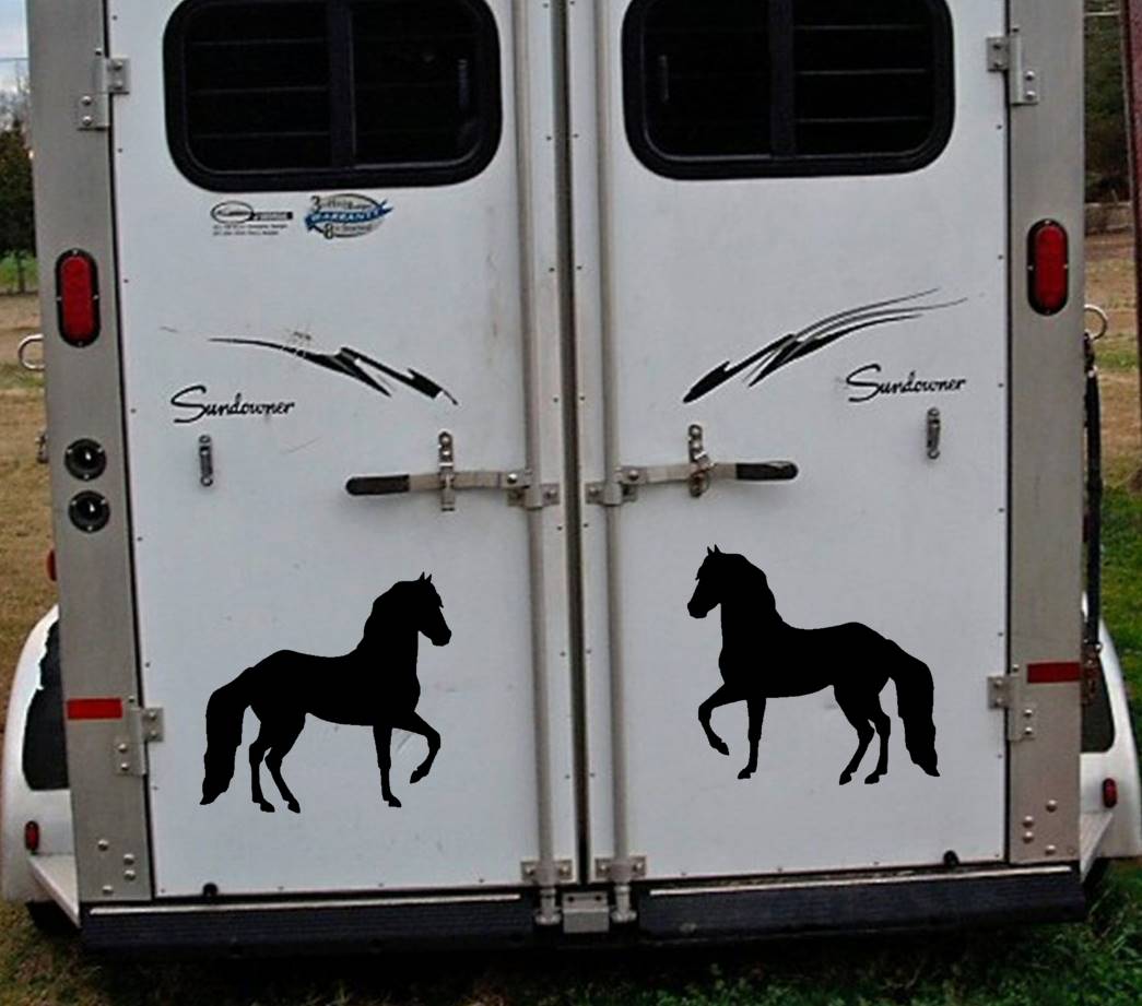 Paso Fino Horse Vinyl Decal – 12 Inch
