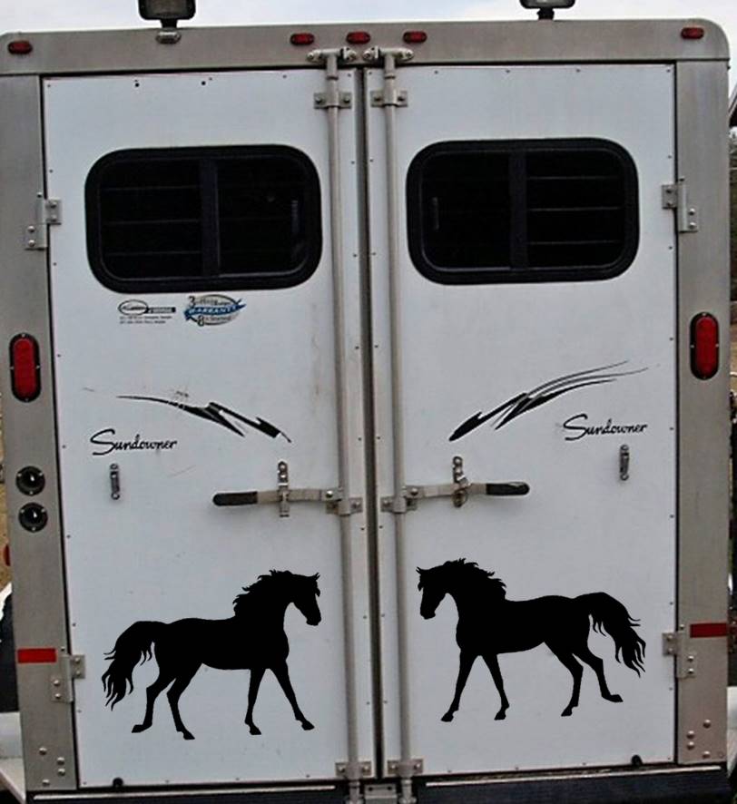 Rocky Mountain Horse Vinyl Decal – 12 Inch